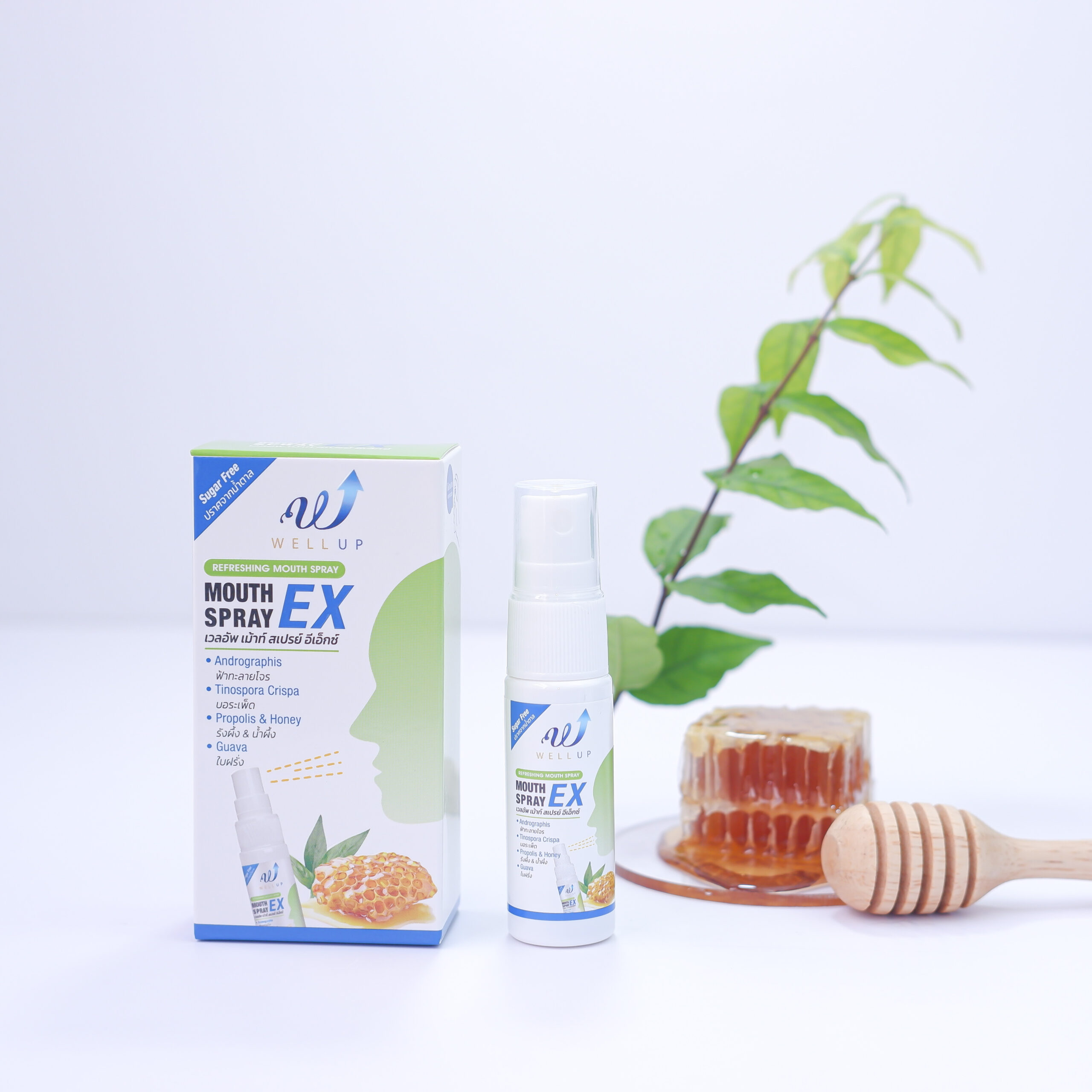 Well Up Mouth Spray Ex 15 ml.